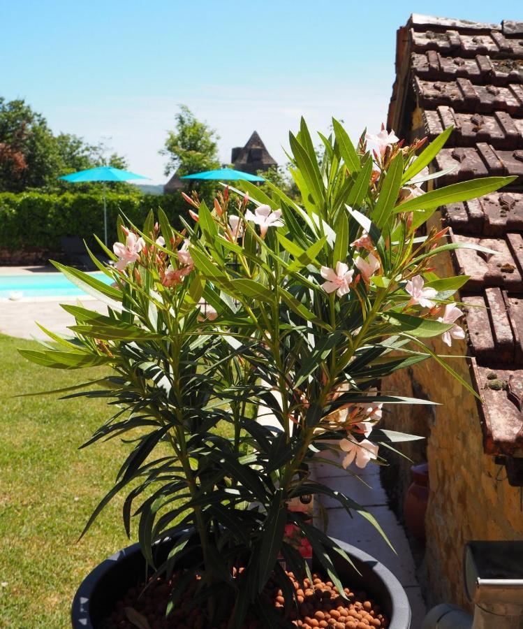 Le Clos De La Musardise - Gites De Charme Avec Piscine Chauffee Salignac Eyvigues Εξωτερικό φωτογραφία
